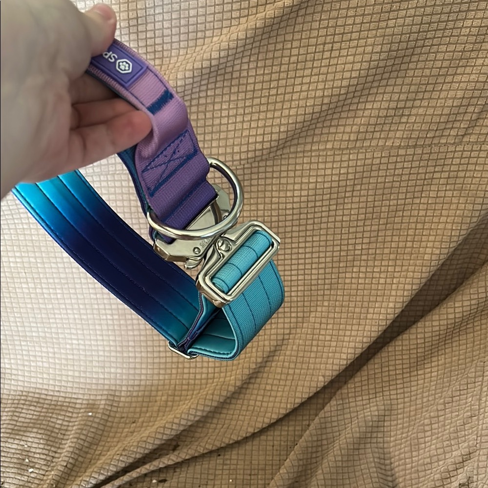 Stylish Purple and Blue Dog Collar
